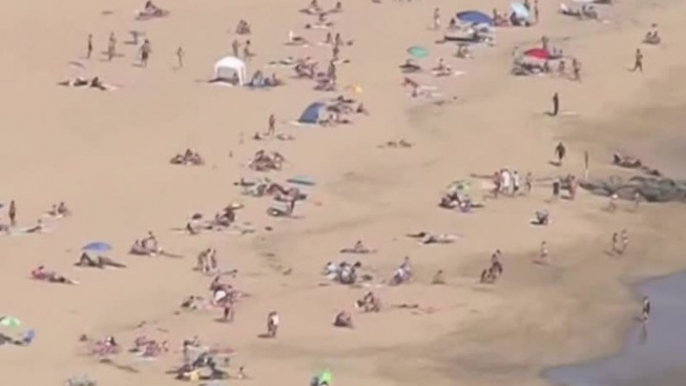 Coronavirus: Des milliers d'Américains «chillent» sur les plages malgré la pandémie