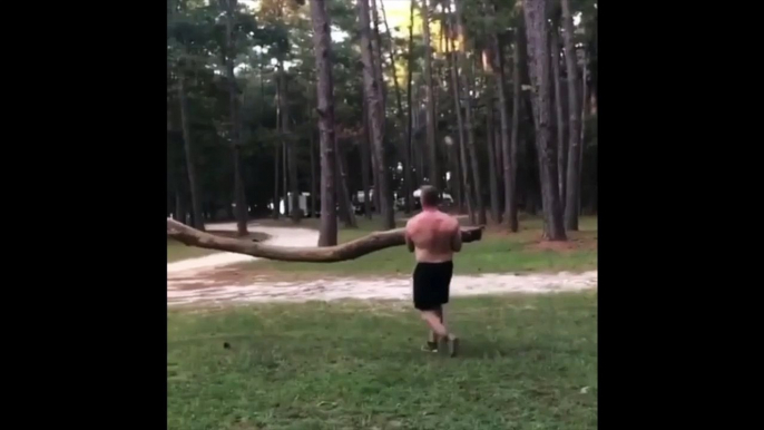 2 bûcherons idiots essayent de casser un tronc contre un arbre