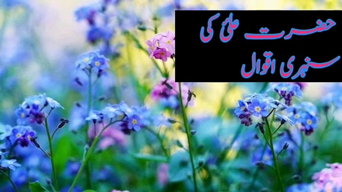 The best qouots of hazrat ali(as). Ziafreed Islamic history chanal. Urdu aqwal hazrat ali and best quotes of Urdu aqwal e zareen famous wards and best information waqiat golden wards hazrat ali