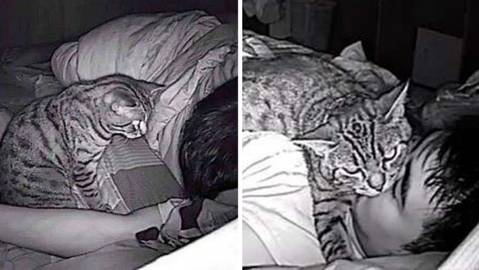 Il installe une caméra pour espionner son chat la nuit. Ce qu’il découvre est dingue….
