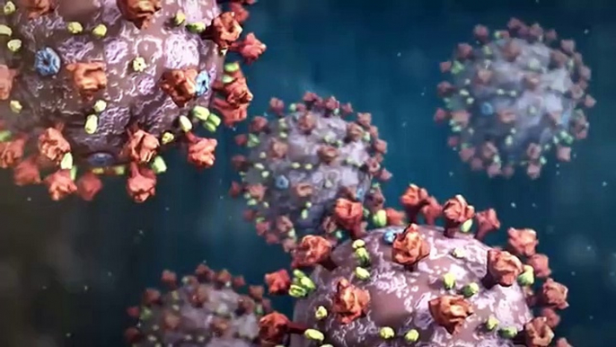 COVID-19_Animation:_What_Happens_If_You_Get_Coronavirus?(360p)