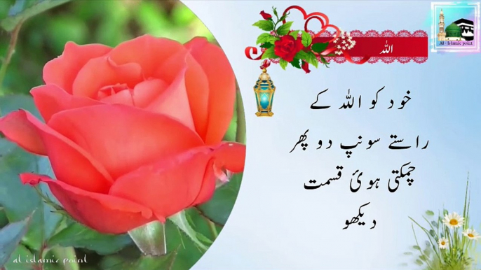 Best Inspirational Islamic Quotes about Allah Merciful in Urdu | Islamic Quotes WhatsApp status