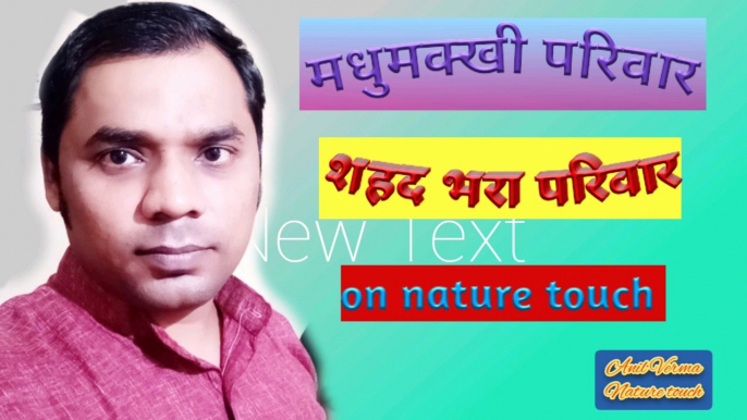 honey bees video/honey bee house/honey bee farming/मधुमक्खी परिवार/nature touch//By Anil Verma.. 15.