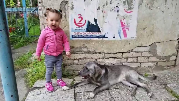 CUTE KID Meets Friendly Dog - Toddler Lile wants to Play with Dog