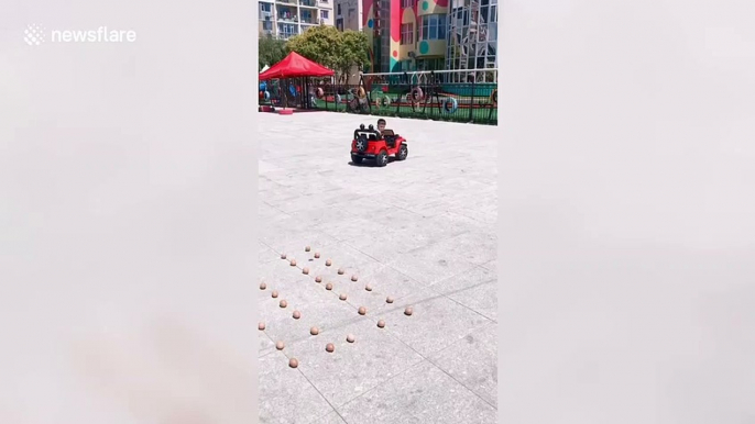 Four-year-old manages to reverse toy car in between eggs without breaking them