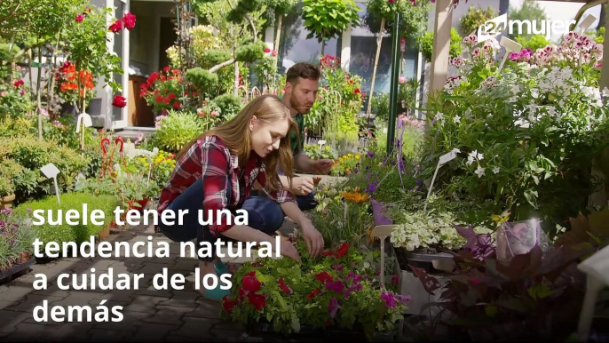 Las mujeres que aman cuidar y tener plantas en casa son más felices y creativas