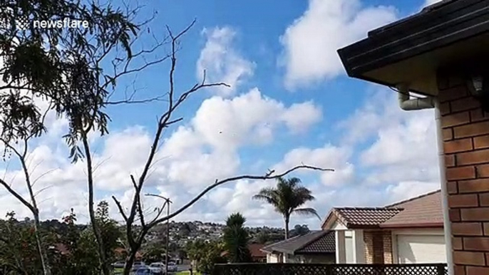 Police helicopter seen flying over west Auckland after police shooting