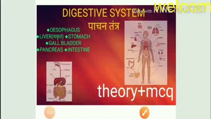 BIOLOGY, Digestive system (liver, stomach, intestine, pancreas)SSC, RAILWAY, PARAMEDICAL, POLYTECHNI