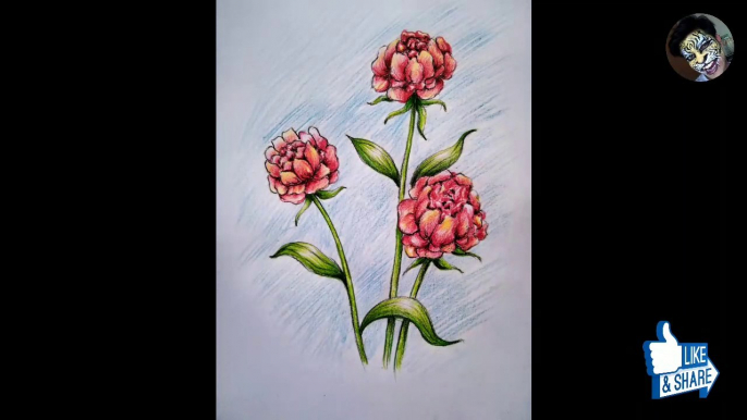 Flower painting | How to draw flowers | colour pencil painting for beginners