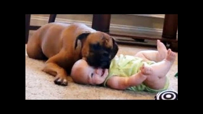 Cutest BABIES Laughing at Pets will MAKE YOUR DAY - TRY NOT TO DIE from Laughing