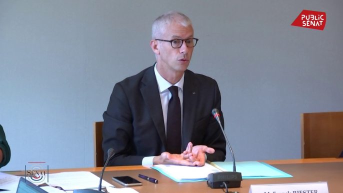 Franck Riester : "J'aurais préféré passer par la discussion parlementaire [...] mais il faut aller vite sur la transposition des directives."