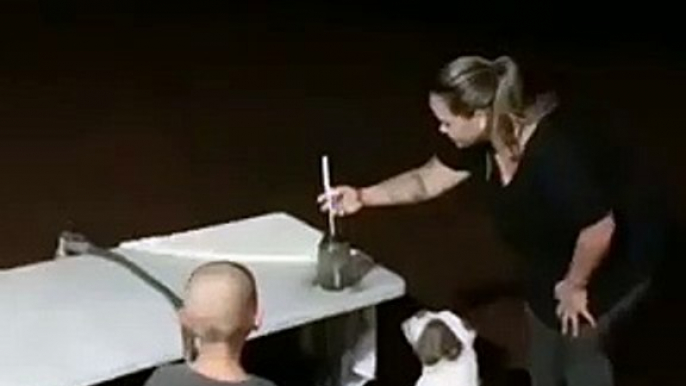 Un chien se prend pour un feu d'artifice