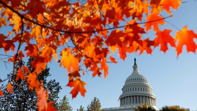 Democrats seize House control in US mid-term election