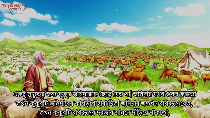 মাঝ রাতে আকাশের দিকে মুখ করে কুকুর কাঁদে কেন_ জানলে চখের পানি ধরে রাখতে পারবেন না!