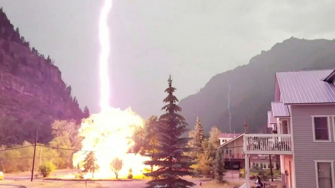 La foudre détruit un arbre à quelques mètres d'une maison