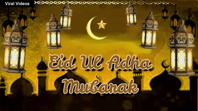 Eid Mubarak WhatsApp Status 2020 | Eid 2020 Status | Happy Eid Mubarak 2020 | Eid Special 2020