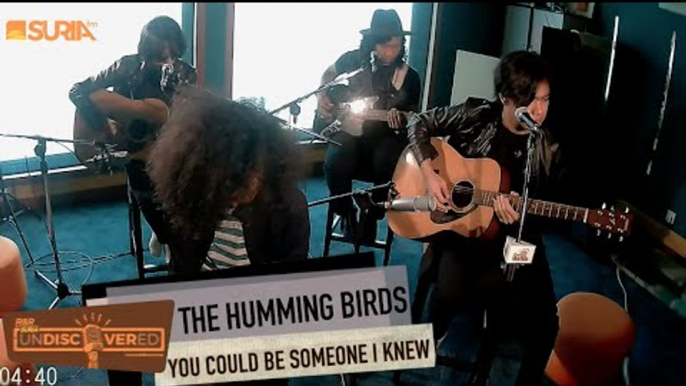 UNDISCOVERED | THE HUMMING BIRDS - You Could Be Someone I Knew ( Latest Single)