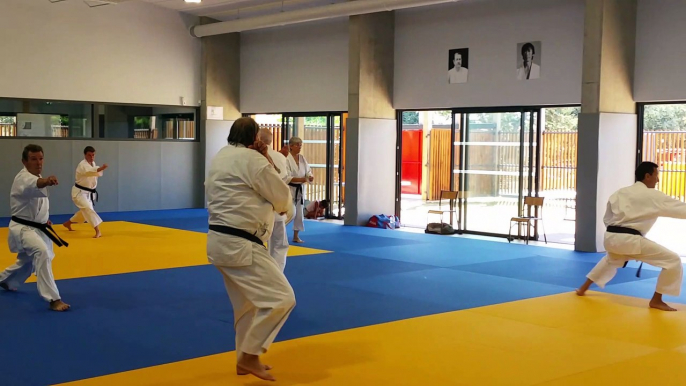 Entraînements estivaux de Karaté-Do Shotokai (École Mushinkai) - Juillet 2020 | Kata Taikyoku shodan (2)