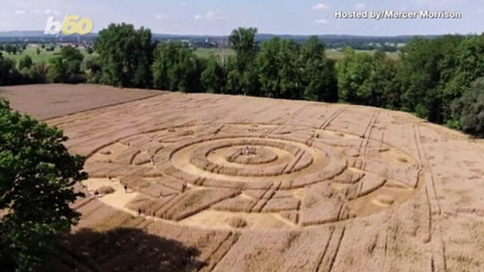 Mysterious Crop Circle Suddenly Appeared in German Wheat Field