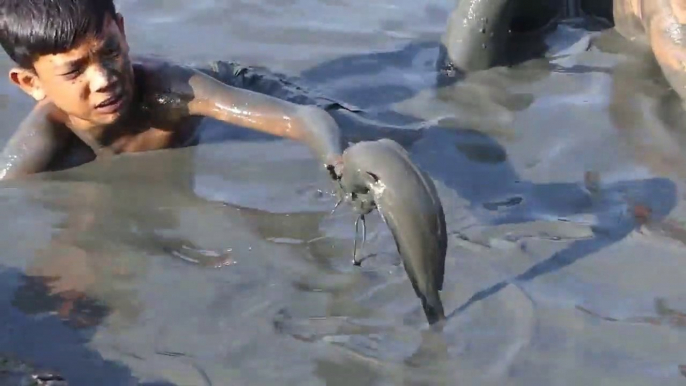 Boy Catching Giant Big Catfish  - Turtle By Mud In The Dry Season | Animal Trap