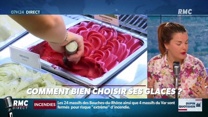 Dupin Quotidien : Comment bien choisir ses glaces ? - 03/08