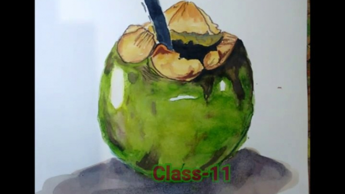 watercolor painting(coconut painting with watercolor painting)