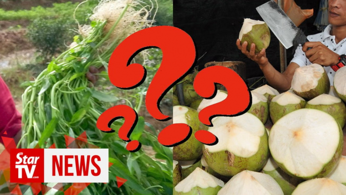 Dzulkefly comments on “coconut water and kangkung" to fight novel coronavirus