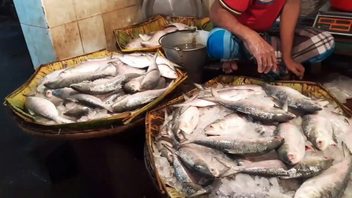 how are you all? We travel to different places in Bangladesh to see fish cutting market .