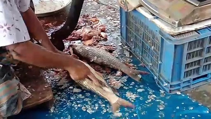 ইলিশ মাছ কাটার সবচেয়ে সহজ এবং সঠিক পদ্ধতি || How to cut Hilsa fish || Quick and easy