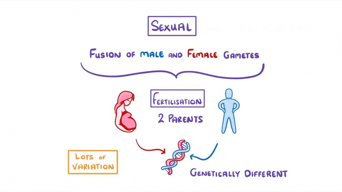 Biology - Sexual vs Asexual Reproduction - What is Asexual Reproduction #46