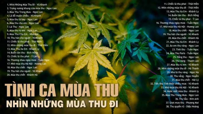 NHÌN NHỮNG MÙA THU ĐI - Dòng Nhạc Tình Ca Xưa Mùa Thu Buồn Thấu Tim - Tình Khúc Phòng Trà Cực Sầu