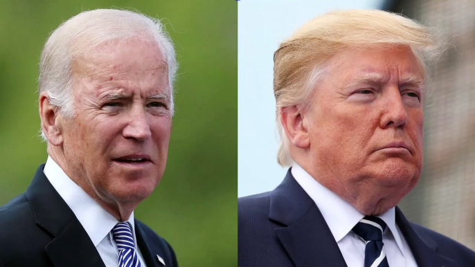 US election polls: Biden holds seven-point lead over Trump