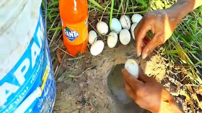 Unbelievable Fishing With Fanta  - Eggs Catch Fish From Hole - Catching Fishes In Hole | Animal Trap