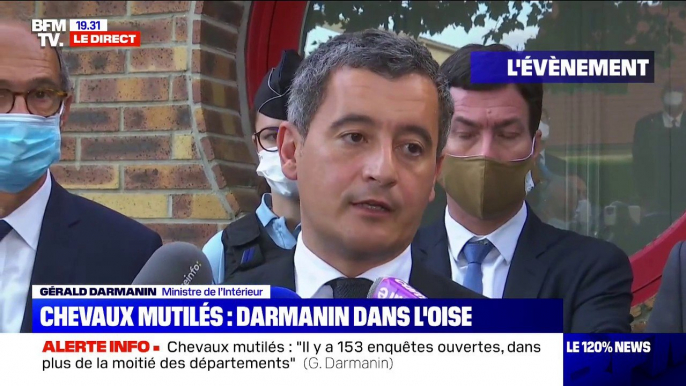 Chevaux mutilés: Gérald Darmanin appelle les Français propriétaires de chevaux à ne pas "se faire justice eux-mêmes"