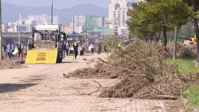 침수된 울산 태화강 국가정원 복구 '구슬땀' / YTN