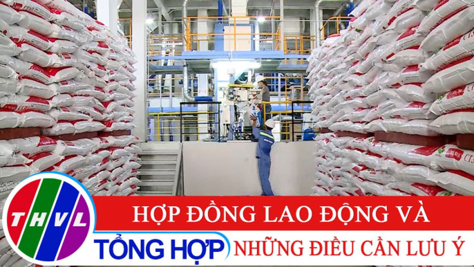 Đời sống pháp luật: Bộ luật Lao động năm 2019 - Kỳ 1: Hợp đồng lao động và những điều cần lưu ý