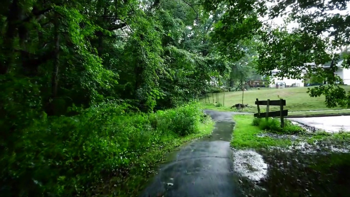 Relaxing Walk in the Rain, Umbrella and Nature Sounds for Sleep and Relaxation - 4k ASMR