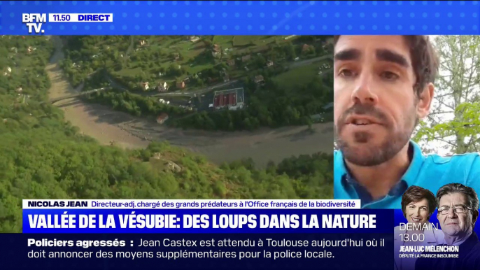 Les loups échappés de la Vallée de Vésubie sont-ils une menace pour les habitants ? - BFMTV répond à vos questions