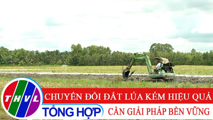 Nông nghiệp bền vững: Chuyển đổi đất lúa kém hiệu quả - Cần giải pháp bền vững