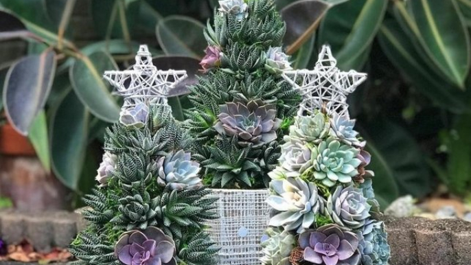 These Succulent Christmas Trees Are Our New Holiday Obsession