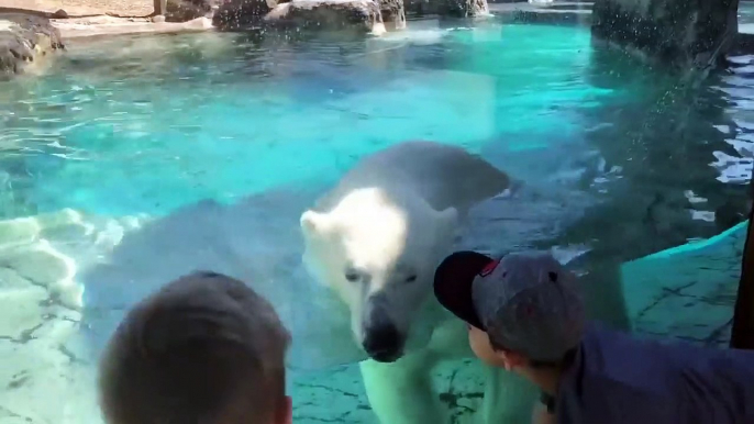 Cute Babies Cuddling Animals