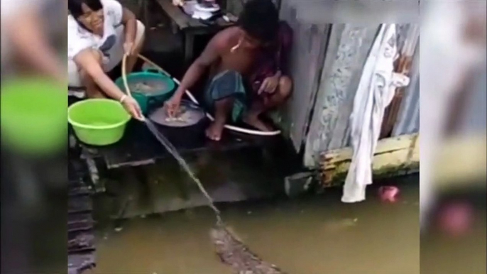 Ce crocodile vient chercher à manger comme un chien