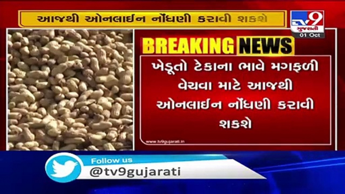 Registration for MSP procurement of groundnuts to begin from today