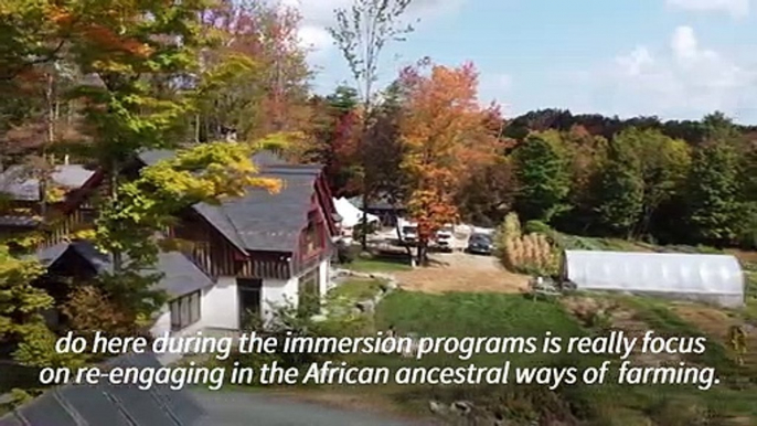 America's Black farmers work to uproot racism