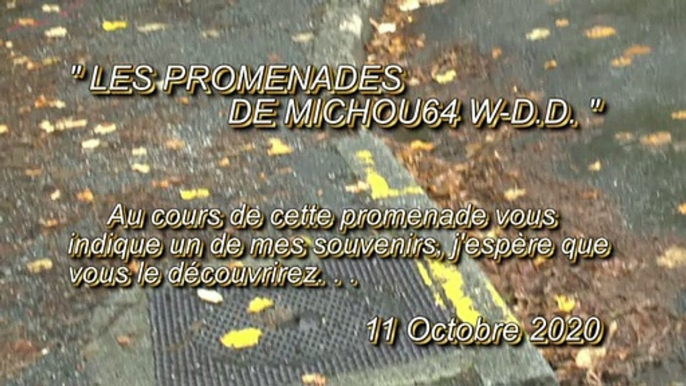 LES PROMENADES DE MICHOU64 W-D.D. - 11 OCTOBRE 2020 - PAU - SUIVEZ MOI POUR UNE PROMENADE DOMINICALE DANS LE QUARTIER TRESPOEY