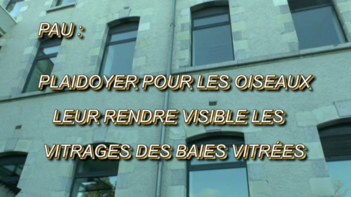 LES SCOOPS DE MICHOU64 W-D.D. - 16 OCTOBRE 2020 - PAU - PLAIDOYER POUR LES OIDEAUX LEUR RENDRE VISIBLE LES  VITRAGES DE L'ÉCOLE DE MUSIQUE ET DE DANSE