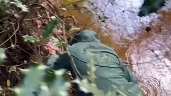 Laure Manaudou partage une vidéo de Jérémy Frérot le 16 octobre 2020 sur Instagram.