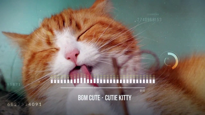 cute music | edits, aesthetic | no copyright #cutiekitty | música para relaxar, dormir ou estudar