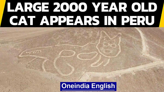 Large ancient cat appears in Peru's Nazca Lines | Oneindia News