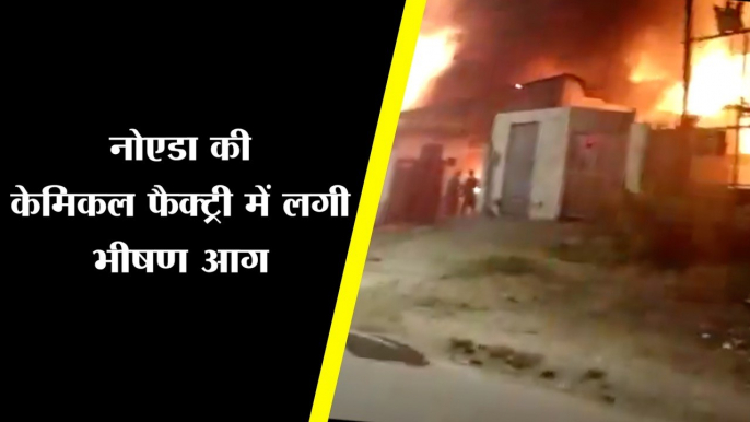 नोएडा की केमिकल फैक्ट्री में लगी भीषण आग/fire at noida chemical factory